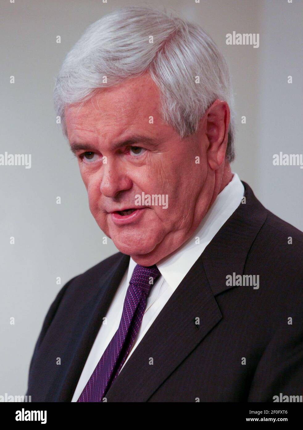 29. Juli 2010 - Washington, DC - Newt Gingrich, Mitglied der Republikanischen Partei und ehemaliger Sprecher des Repräsentantenhauses, sprach beim American Enterprise Institute (AEI), wo er Senior Fellow ist. Seine Rede sprach die nationale Sicherheit mit Tönen an, die auf eine mögliche Präsidentschaftskandidatur im Jahr 2012 hindeuten. Seine Frau Callista Gingrich stellte Newt vor seiner Rede dem Publikum vor. Foto: Gary Fabiano/Sipa Press/NewtGingrichAEI,009/1007292303 Stockfoto