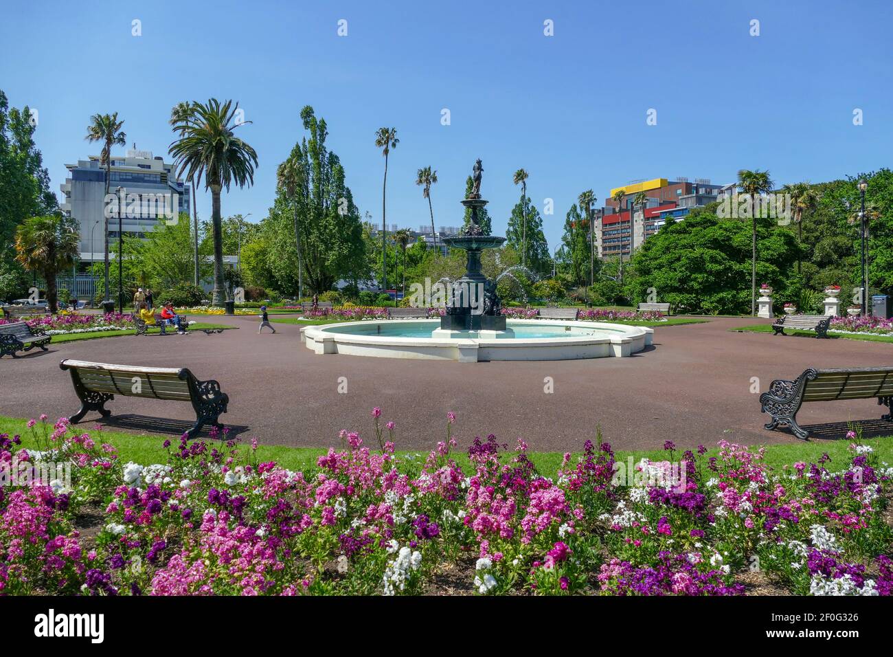 Sonnige Landschaft am Albert Park in Auckland, einer großen Stadt auf der Nordinsel Neuseelands Stockfoto