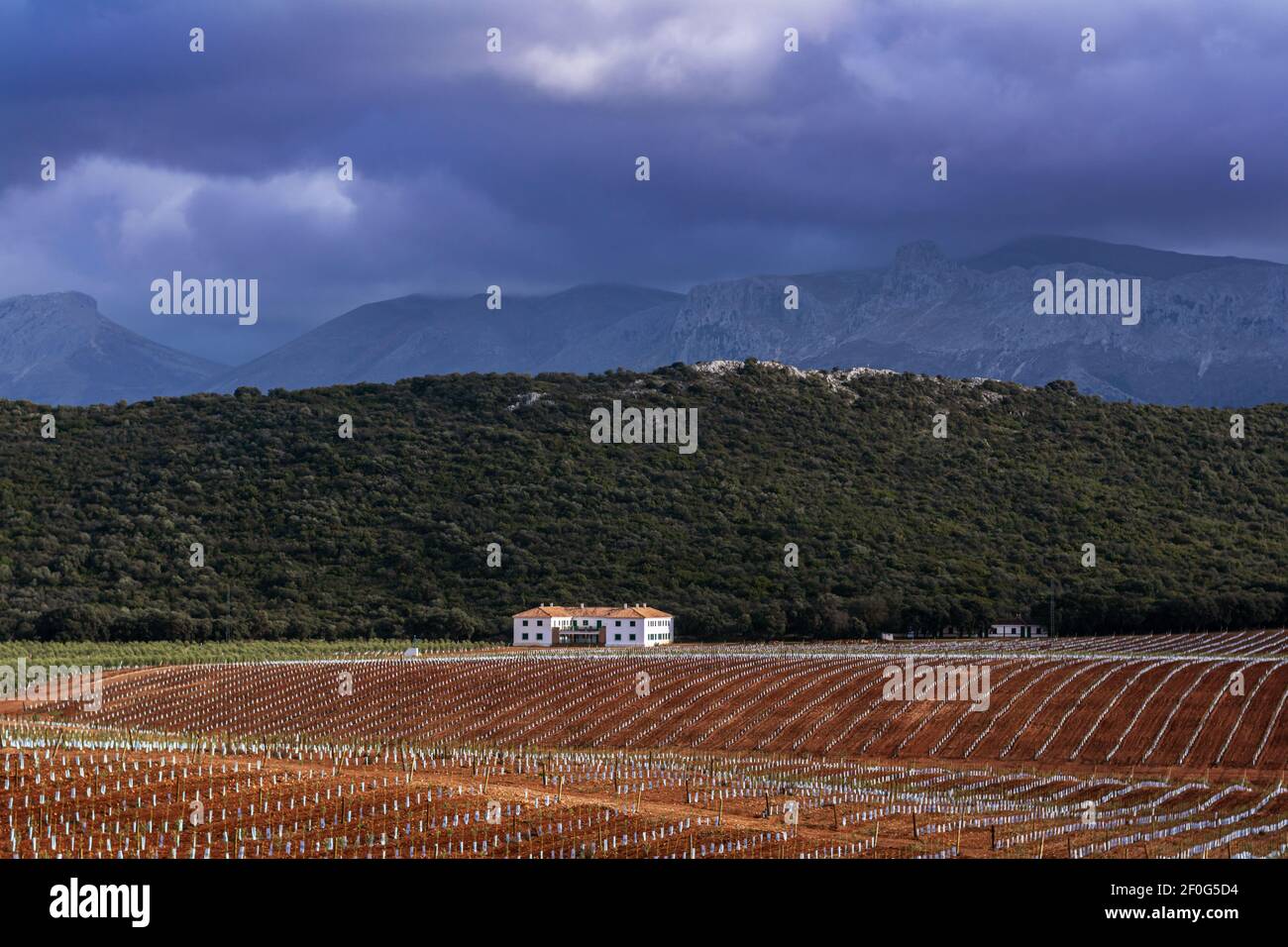 Haus neben landwirtschaftlichen Feldern mit einem Hintergrund von Bergen und einem bewölkten Himmel. Stockfoto