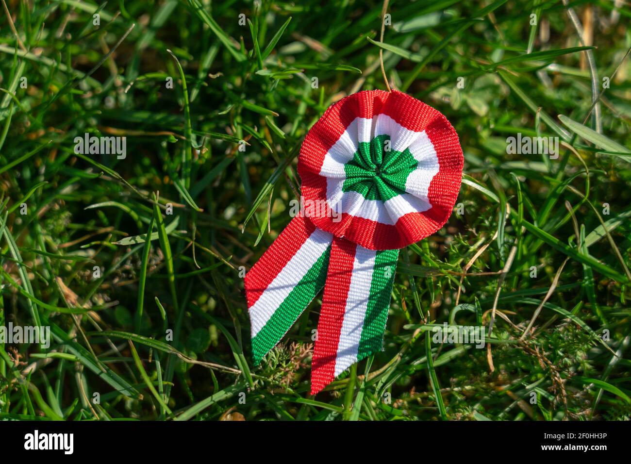 Dreifarbige Rosette auf Frühlingsbaum mit Knospensymbol der ungarischer Nationalfeiertag 15th. märz auf Gras Stockfoto