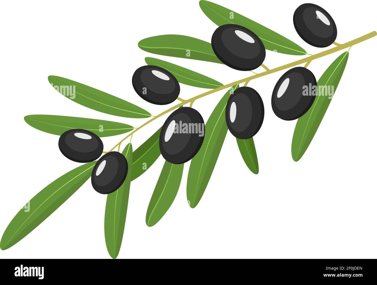 Zweig der schwarzen Oliven Stock Vektor