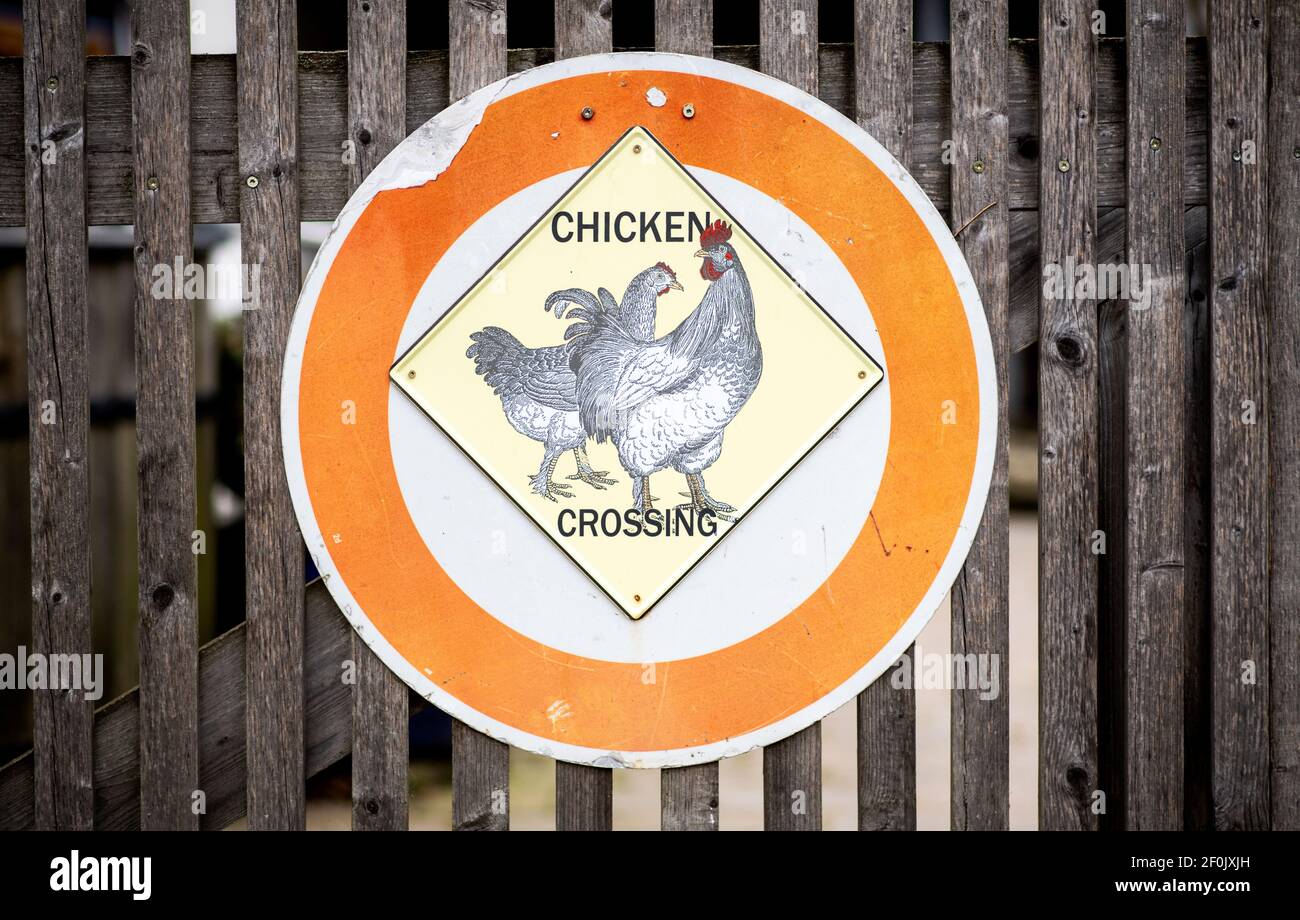 Braunschweig, Deutschland. März 2021, 07th. Ein Schild mit der Aufschrift "Chicken Crossing" hängt am Tor eines Bauernhofs im Stadtteil Riddagshausen. Quelle: Hauke-Christian Dittrich/dpa/Alamy Live News Stockfoto
