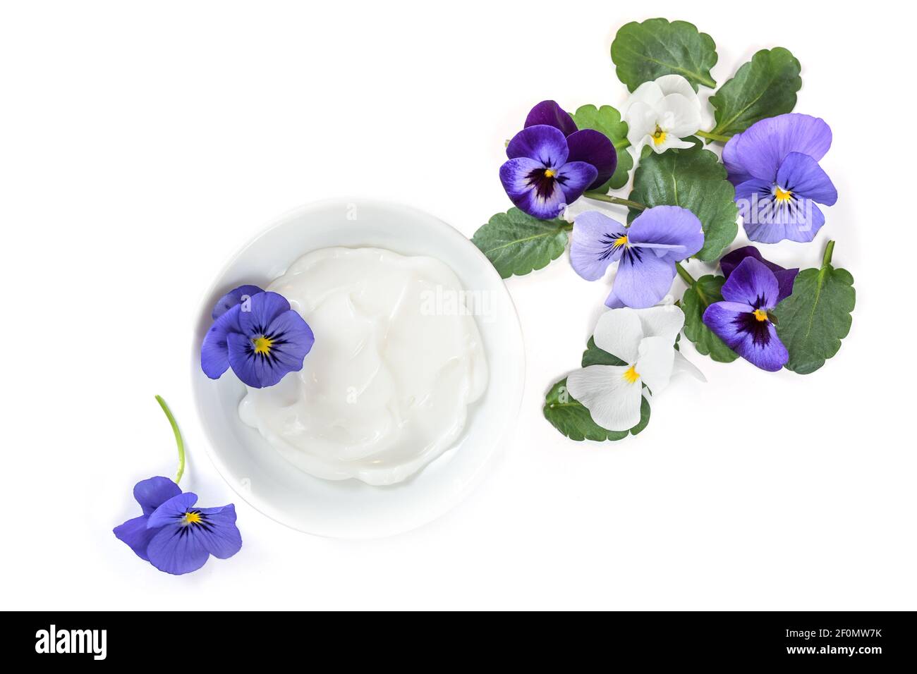 Natürliche kosmetische Salbe mit Viola oder violetten Blüten und Blättern isoliert mit Schatten auf weißem Hintergrund, Kopierraum, Weitwinkel von oben, Stockfoto