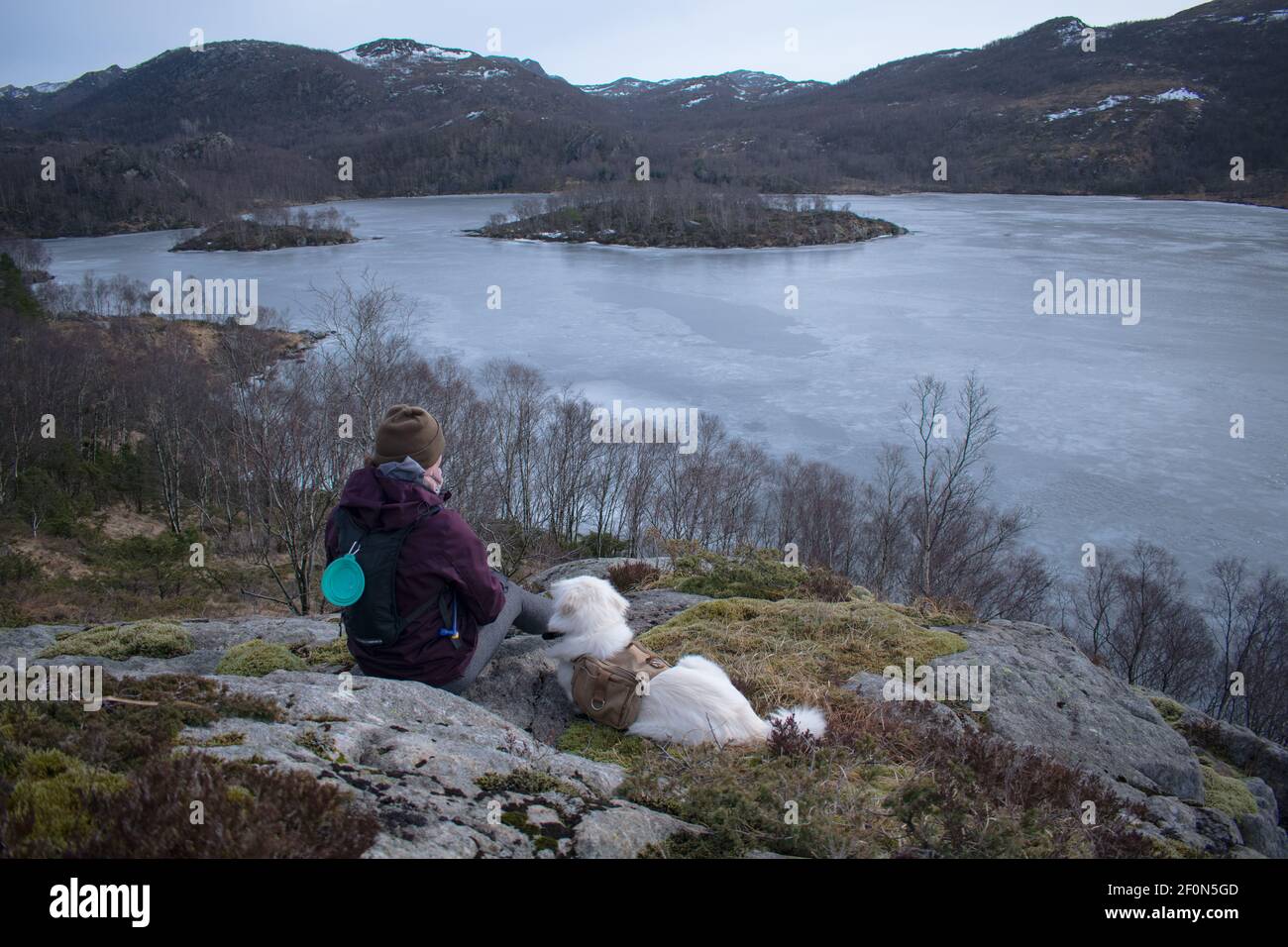 Wanderer mit Samoyed Husky Hund ​​looking an gefrorenen See und Fjord in Rogaland Norwegen Stockfoto