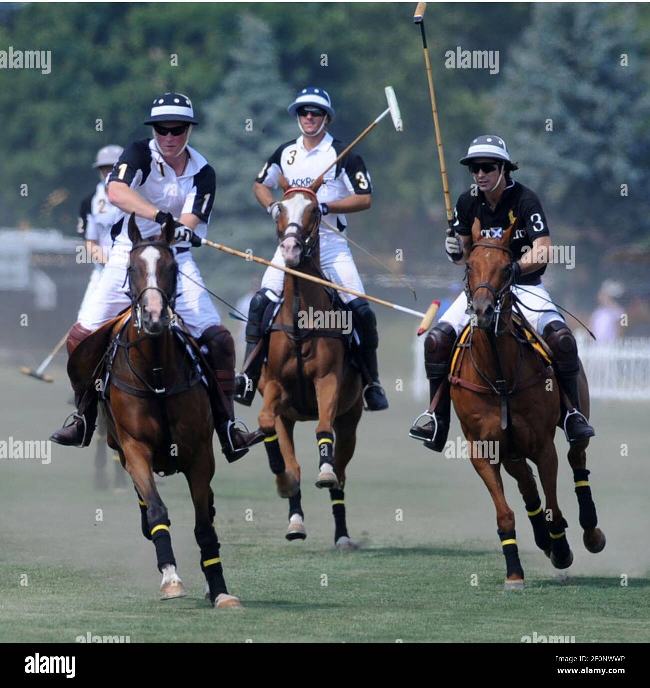 NEW YORK - JUNI 27: S.H. Prinz Harry tritt während der jährlichen Veuve Clicquot Polo Classic 3rd auf Governors Island am 27. Juni 2010 in New York City an. Personen: Prinz Harry Nacho Figueras Stockfoto