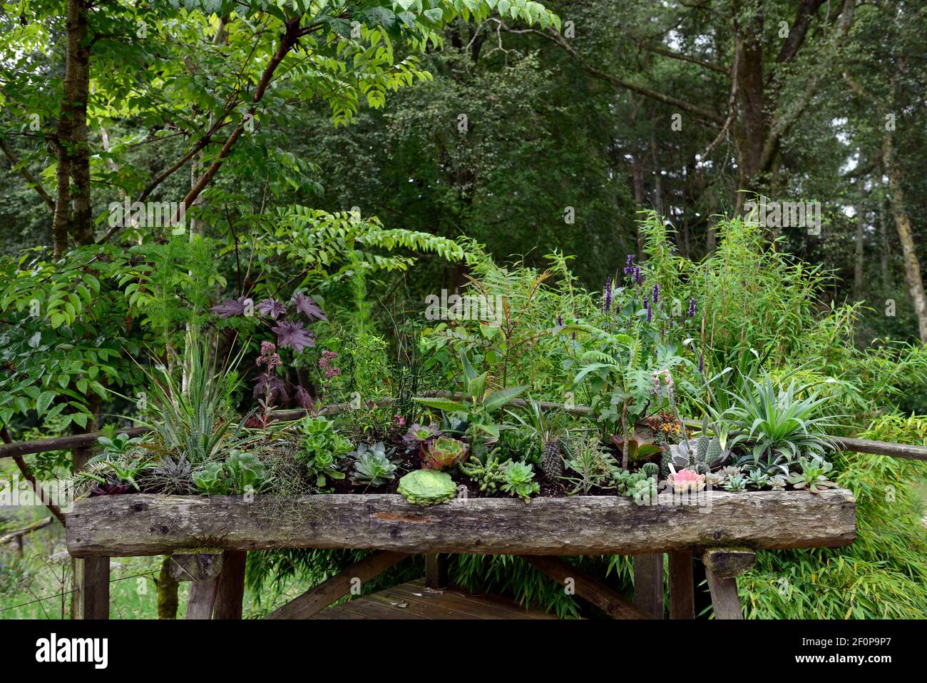 blumenkasten streichen Blumenkasten Colorful – Industriestil main image 0