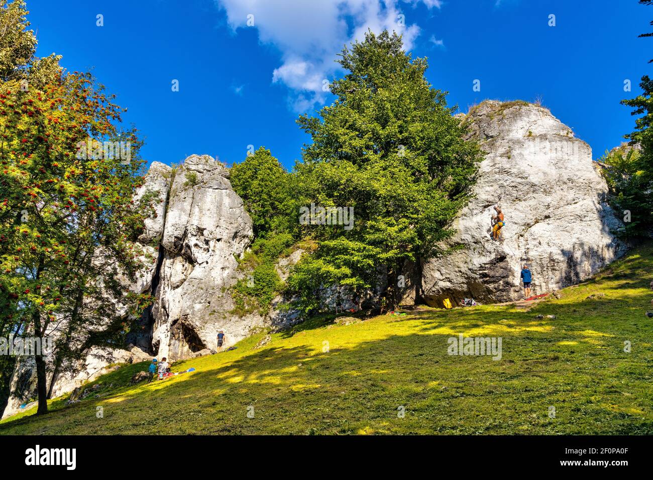 Podzamcze, Polen - 25. August 2020: Free Climbers Training an Jurassic Kalksteinformationen des Gora Birow Berg in der Nähe Ogrodzieniec Schloss in S Stockfoto