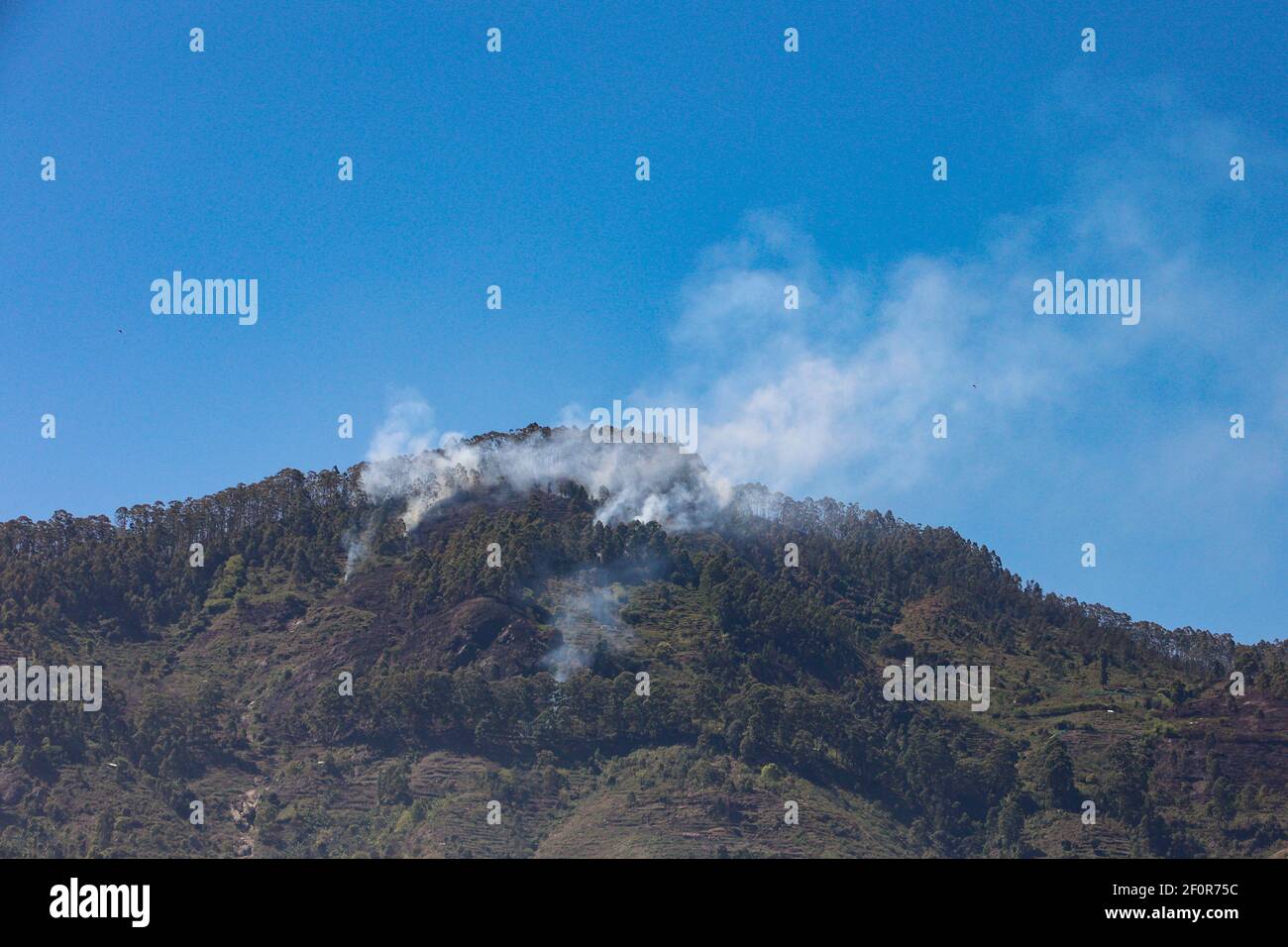 Rauch, der von einem Berggipfel durch Schrägstrich und emittiert Burn Landwirtschaft von Stammes Dorfbewohner praktiziert, wie während der Reise gesehen Auf der Palani Ghat Road Stockfoto