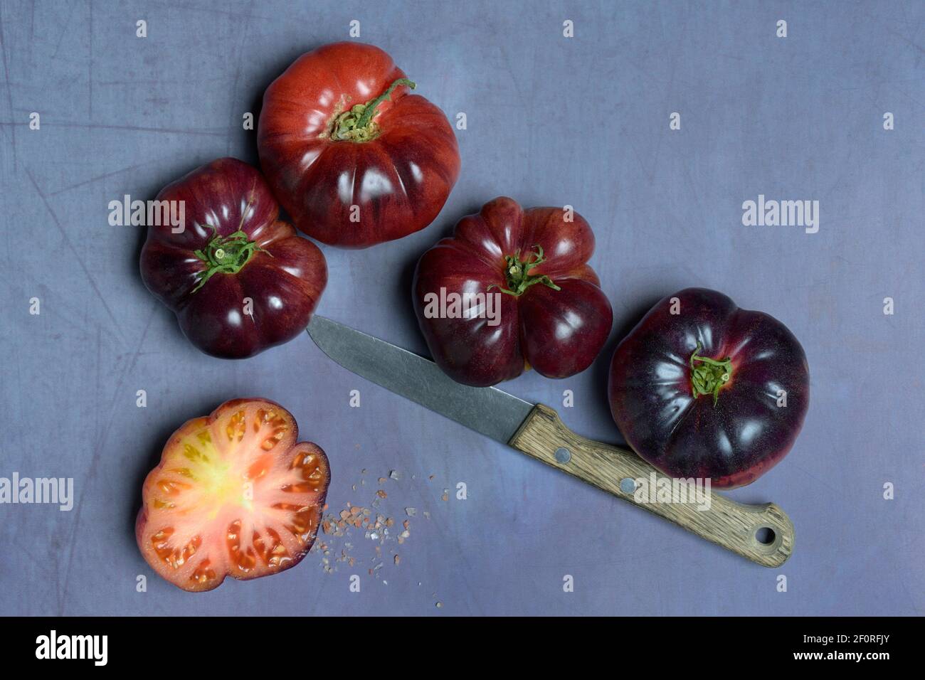 Tomate Mar Azul, blaue Fleischtomate aus Spanien, Deutschland Stockfoto