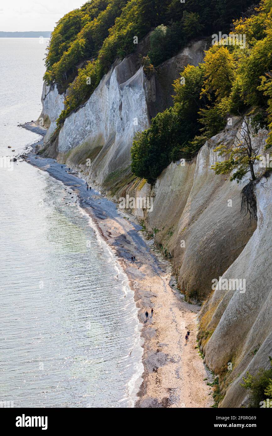 Touristen am Strand unter den Kreidefelsen, Nationalpark Jasmund, Insel Rügen, Ostsee, Mecklenburg-Vorpommern, Ostdeutschland Stockfoto