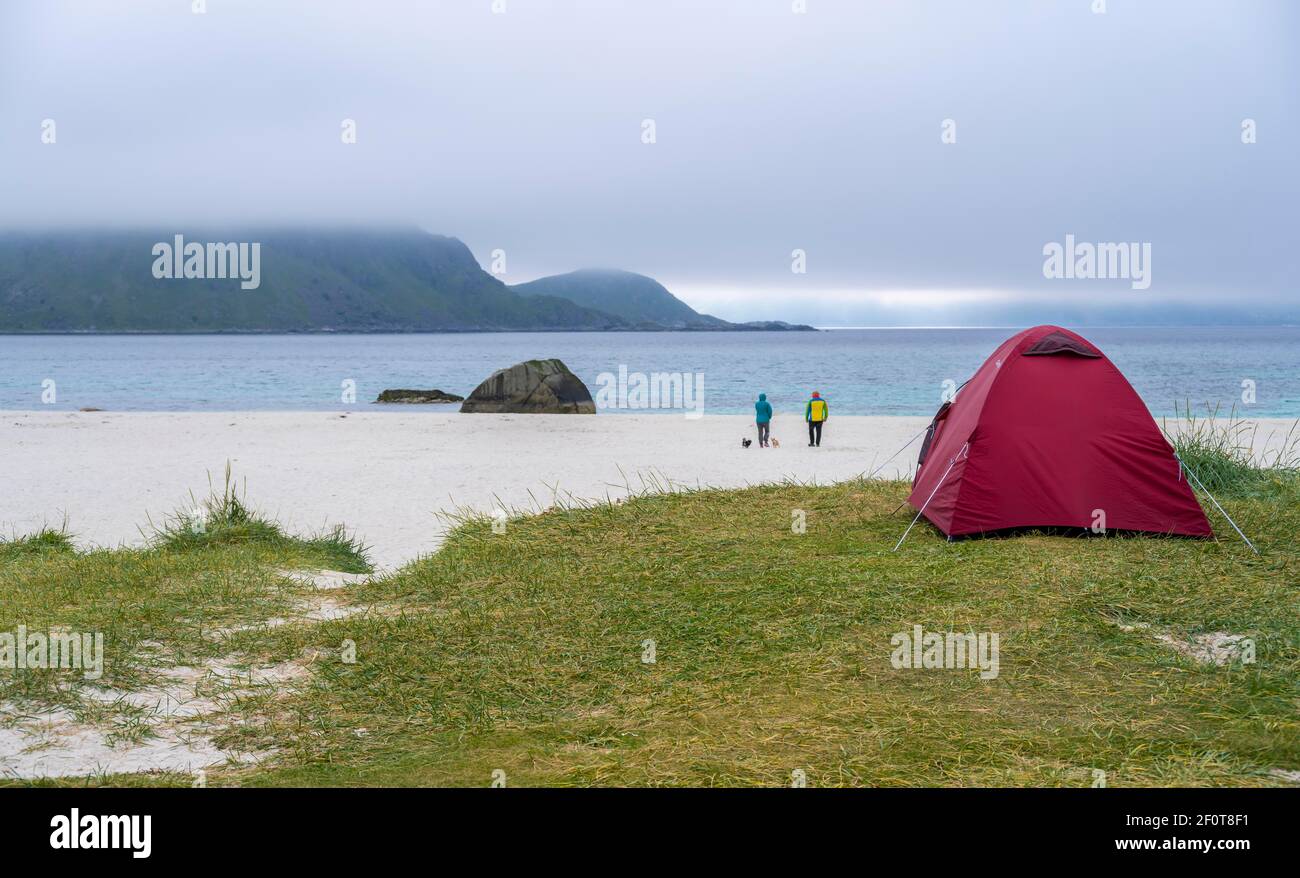Wild Camping in Hauklandstranda, Strand am Meer mit Zelt, Lofoten,  Nordland, Norwegen Stockfotografie - Alamy