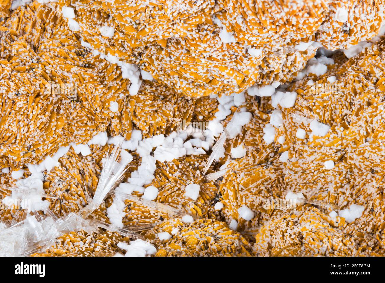 Nahaufnahme der Textur von Aragonit mit schönen Cluster von Kristallen. Detail aus orangenen und weißen Mineralien aus Calciumcarbonat. Mineralogieprobe. Stockfoto
