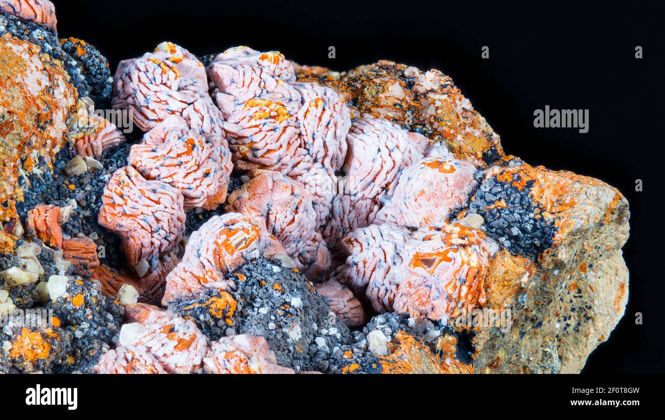 Schönes Detail von Aragonit Mineralstein isoliert auf einem schwarzen Hintergrund. Nahaufnahme der weißen und orangen Kristallform von Calciumcarbonat. Mineralogie. Stockfoto