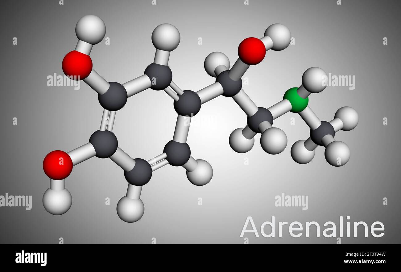 Adrenalin, Adrenalin-Molekül. Es ist Hormon, Neurotransmitter, Medikamente. Aufgrund seiner verschiedenen wichtigen Funktionen als Medikament verwendet. Molekularmodell. Stockfoto