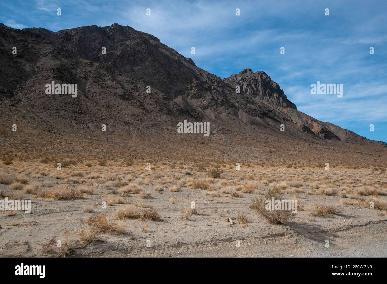 Es gibt einen Wanderweg neben der Rennstrecke im Death Valley National Park. Sie führt zum Gipfel des Ubehebes. Stockfoto