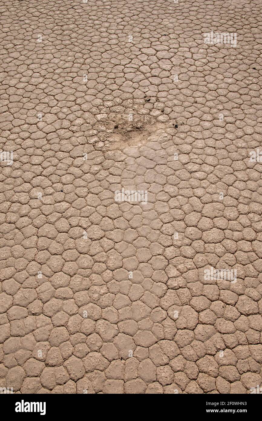 Es gibt einen Wanderweg neben der Rennstrecke im Death Valley National Park. Sie führt zum Gipfel des Ubehebes. Stockfoto