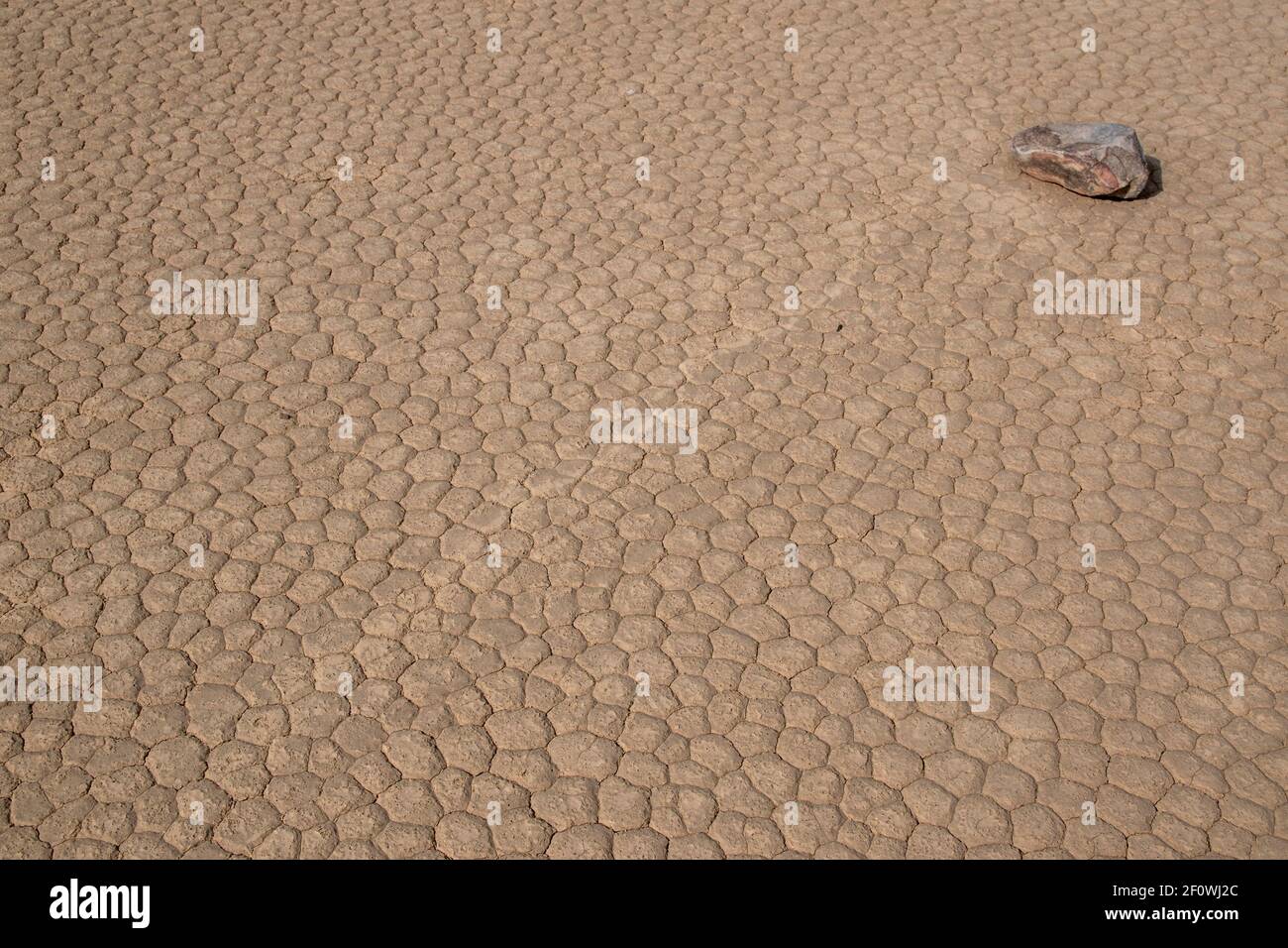 Es gibt einen Wanderweg neben der Rennstrecke im Death Valley National Park. Sie führt zum Gipfel des Ubehebes. Stockfoto