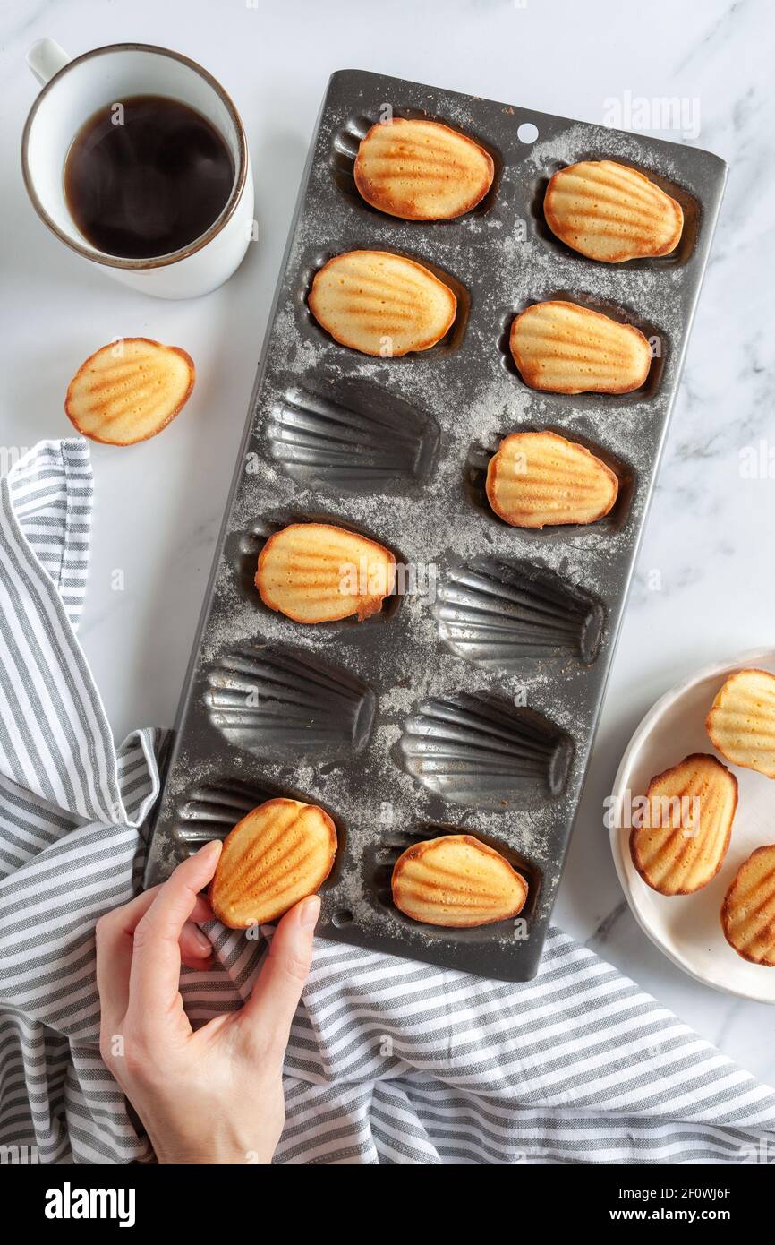 Eine weibliche Hand ergreifend einen frisch gebackenen madeleine Kuchen aus einer Dose, Kaffee auf der Seite auf weißem Marmor Hintergrund Stockfoto