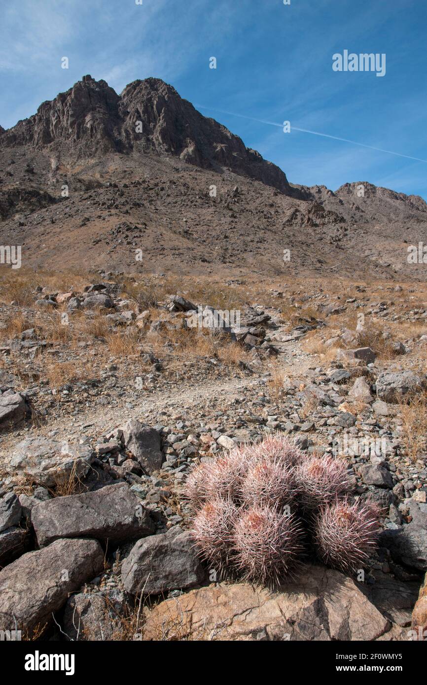 Es gibt einen Wanderweg neben der Rennstrecke im Death Valley National Park. Sie führt zum Gipfel des Ubehebes. Stockfoto