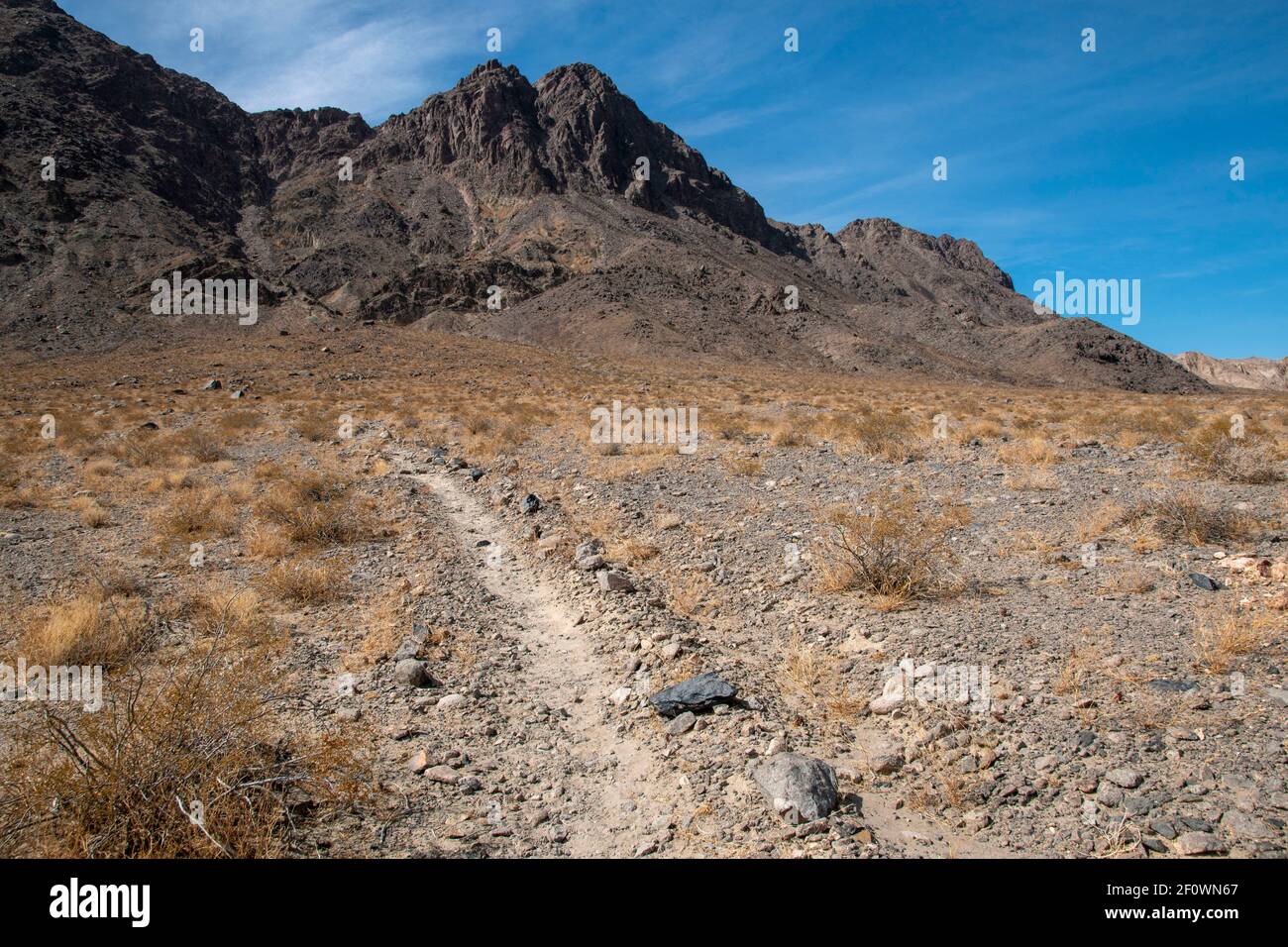 Es gibt einen Wanderweg neben der Rennstrecke im Death Valley National Park. Sie führt zum Gipfel des Ubehebes. Stockfoto