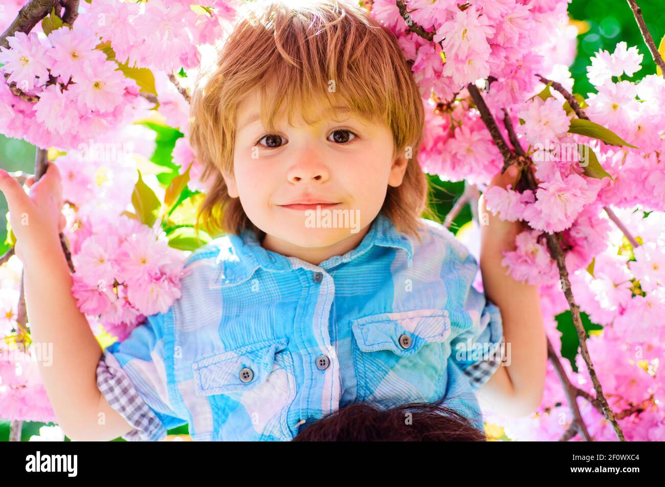 Lächelndes Kind in Blumen sakura. Glücklicher Junge im Frühling Park. Stockfoto