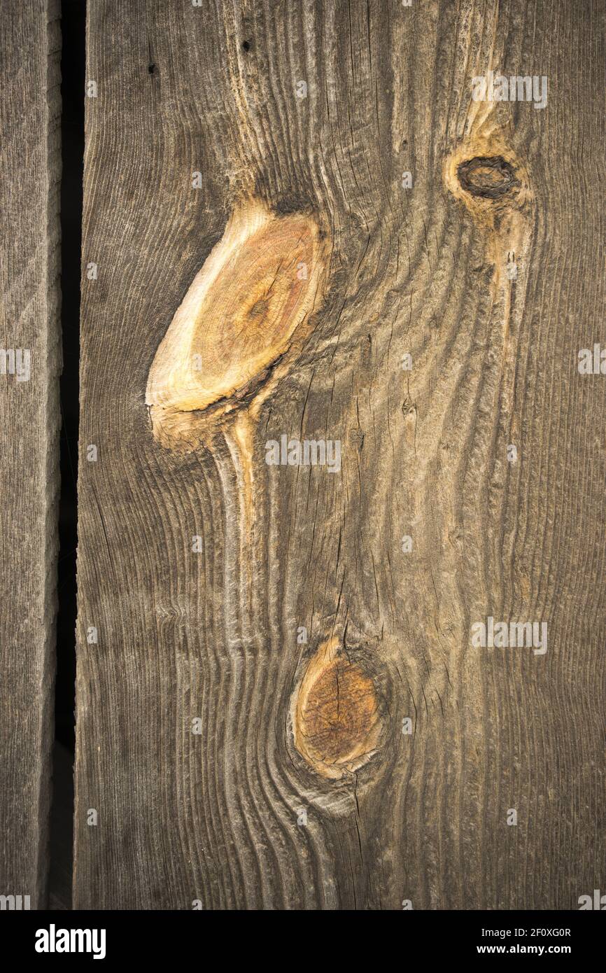 Verwitterte Scheune Wand Holz Korn Plank Orange Knoten Stockfoto