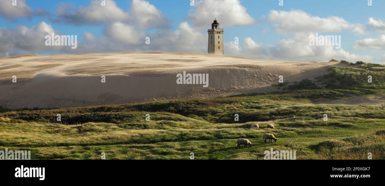 Rubjerg Knude Fyr im Sandsturm, Dänemark Stockfoto