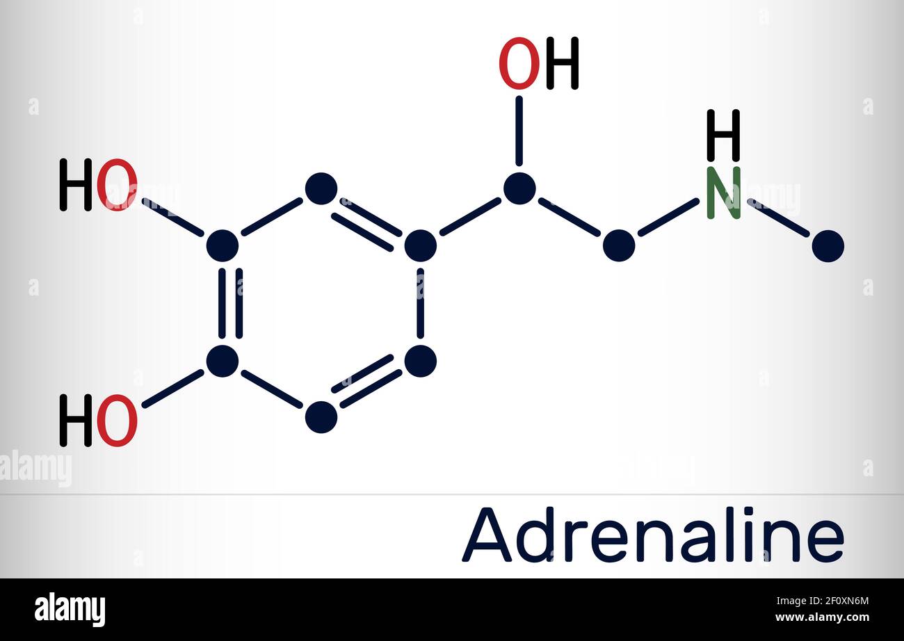 Adrenalin, Adrenalin-Molekül. Es ist ein Hormon, Neurotransmitter und Medikamente. Chemische Formel des Skeletts. Vektorgrafik Stock Vektor