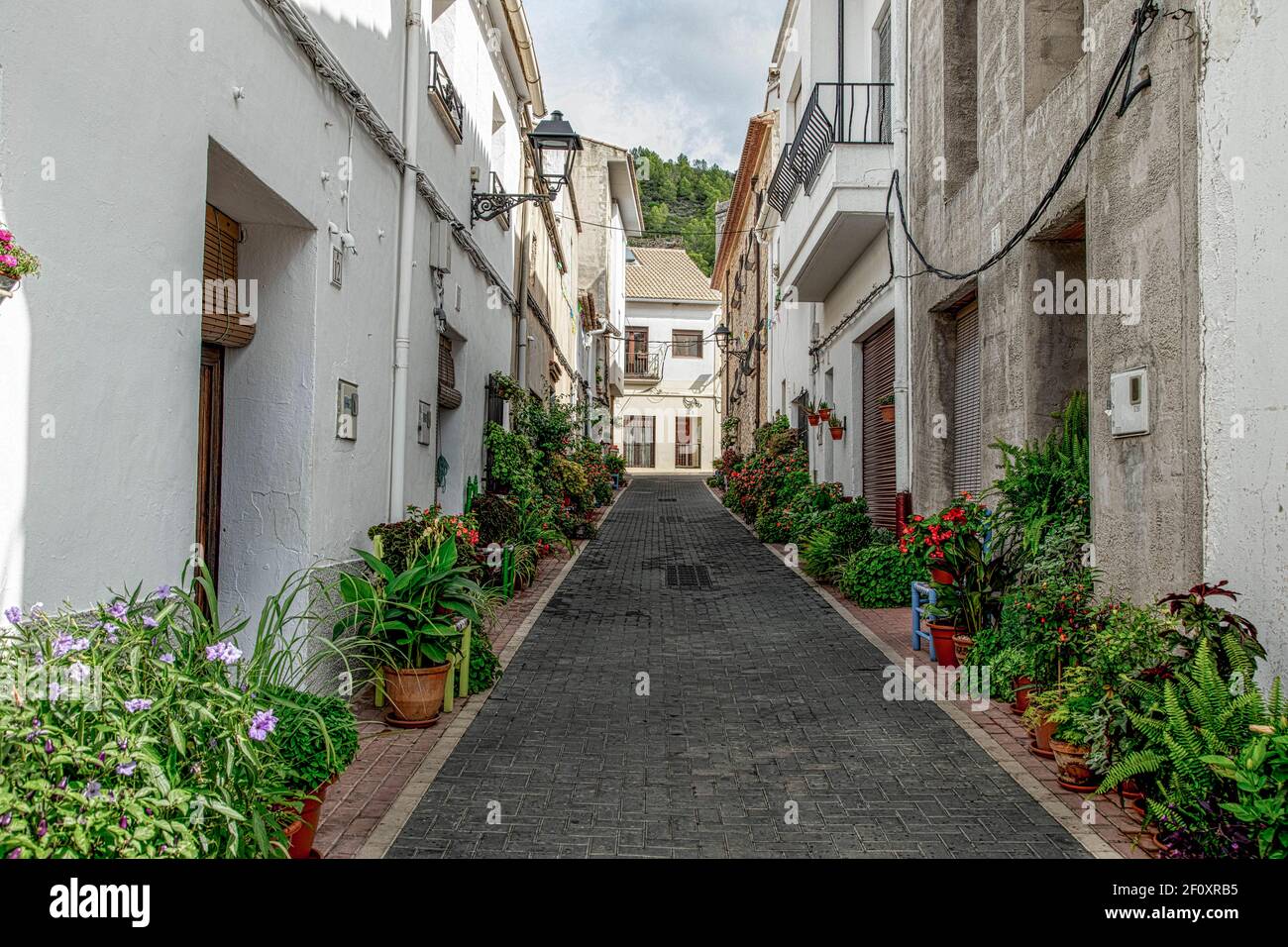 Liber, Jalon Valley, Costa Blanca, Spanien Stockfoto