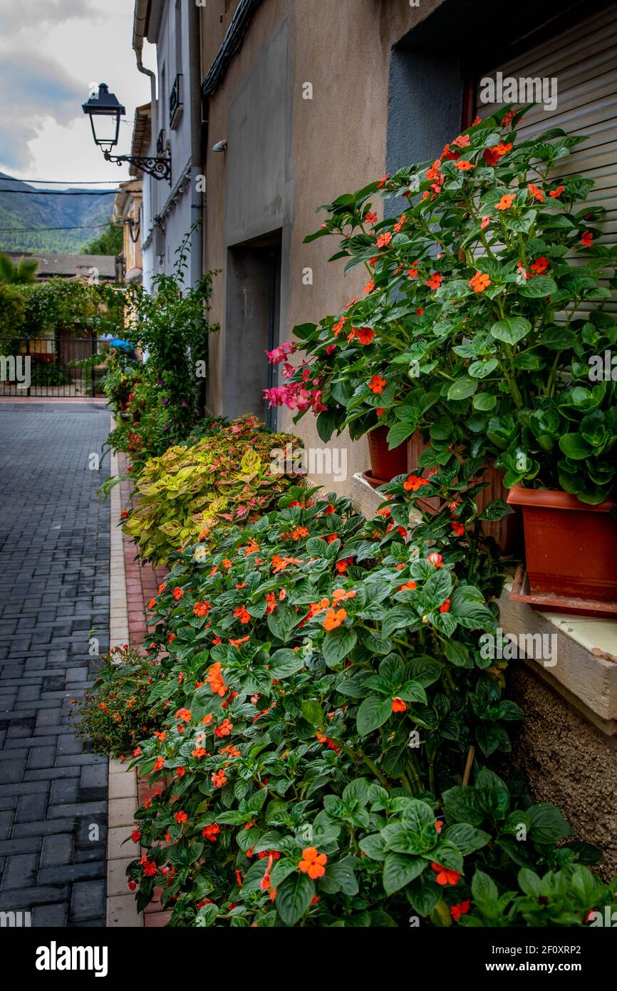 Liber, Jalon Valley, Costa Blanca, Spanien Stockfoto