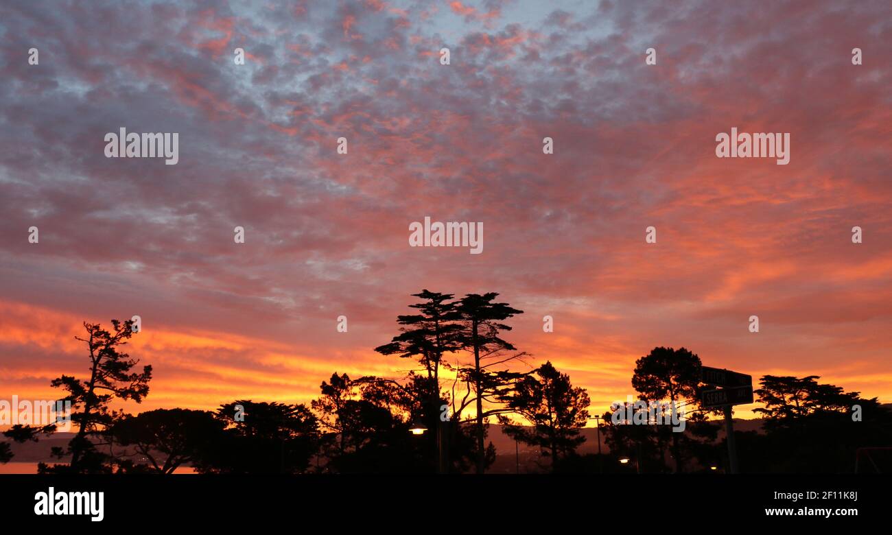 Dramatischer Morgenhimmel mit vereinzelten Wolken und Bäumen in Silhouette, Monterey, CA. Stockfoto