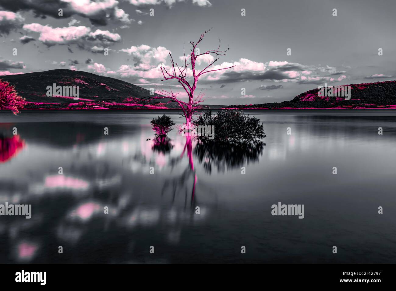 Gelassenheit ruhige Spiegelreflexion auf Peruca See Perucko jezero in Kroatien Europa kreative künstlerische Kunstmix monochrome und veränderte Rot Farbfarben Stockfoto