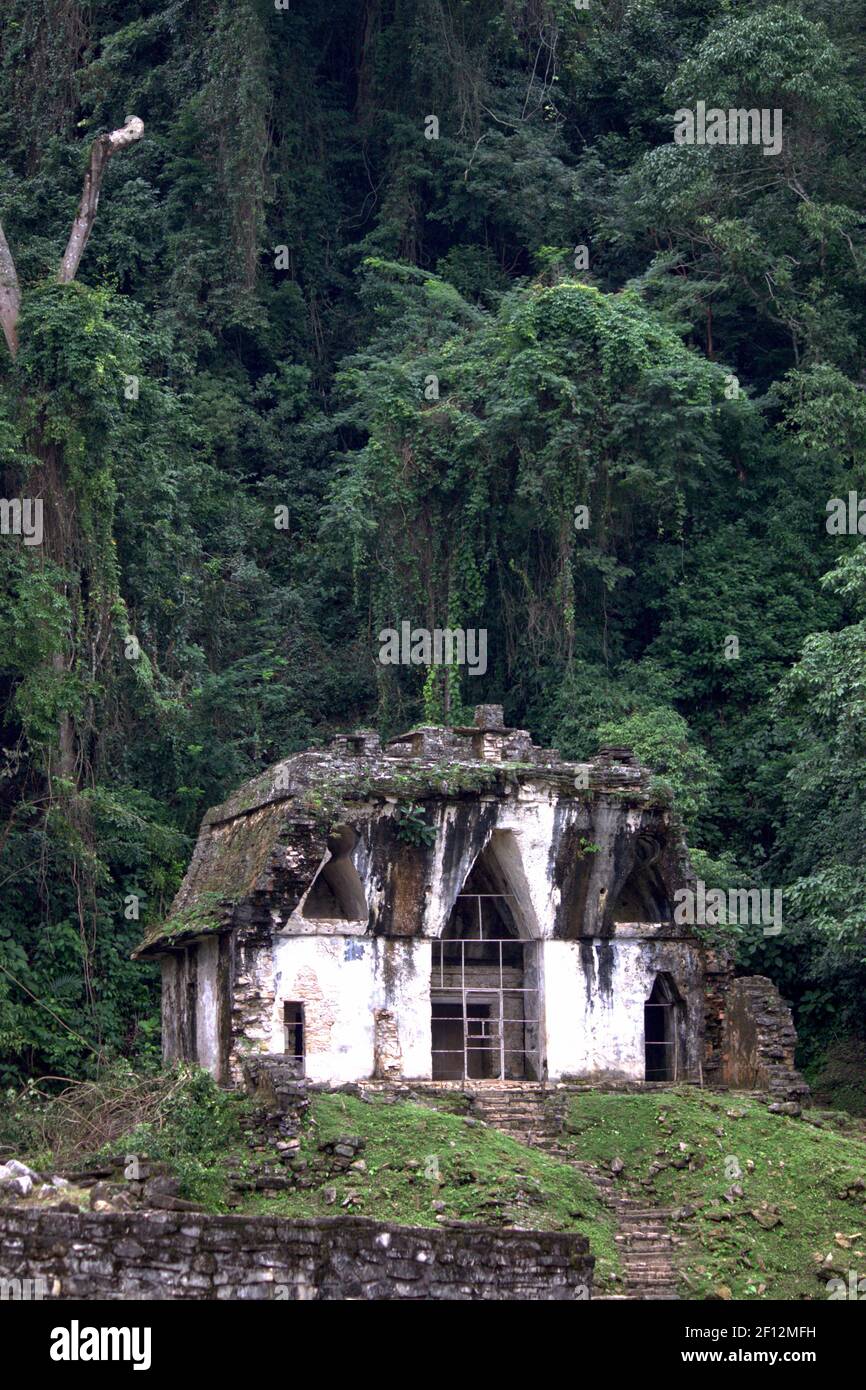 Tempel des Foliated Cross in Palenque. Chiapas, Mexiko Stockfoto