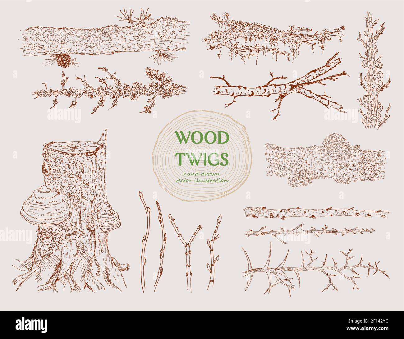 Handgezeichnete Holzzweige mit verschiedenen Baumzweigen Stämme gesetzt Stupps Kegel und Pilze isoliert Vektor-Illustration Stock Vektor