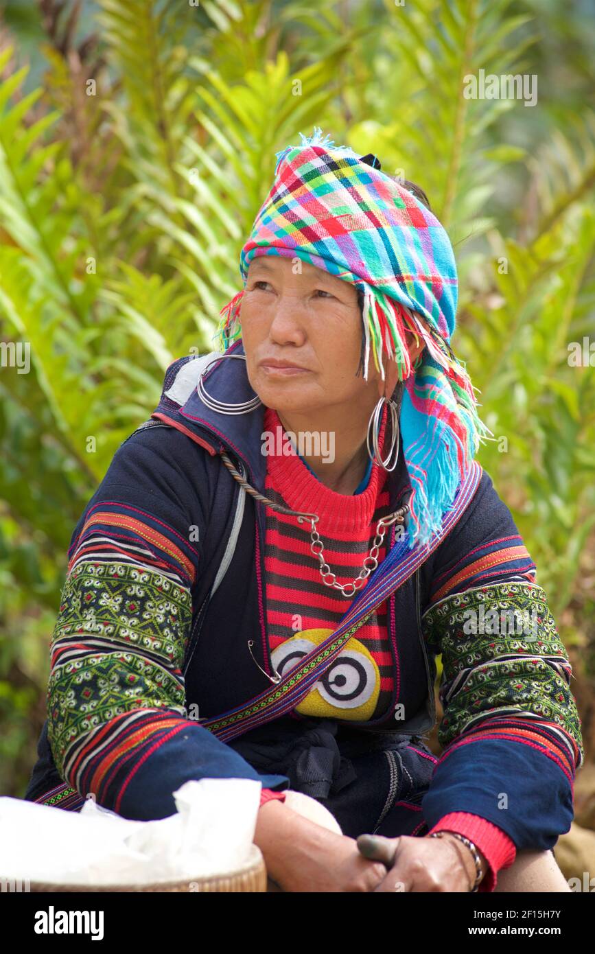 Porträt einer Hmong-Frau, Sapa-Gebiet, Provinz Lao Cai, Nordvietnam Stockfoto