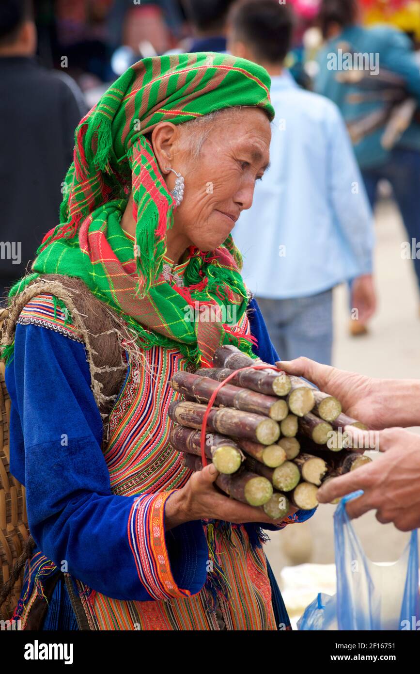 Blume Hmong Frau in lokalen Stil Kleidung, Kauf Zuckerrohr auf Bac Ha Markt. Lao Cai Provinz, Nordost Vietnam Stockfoto