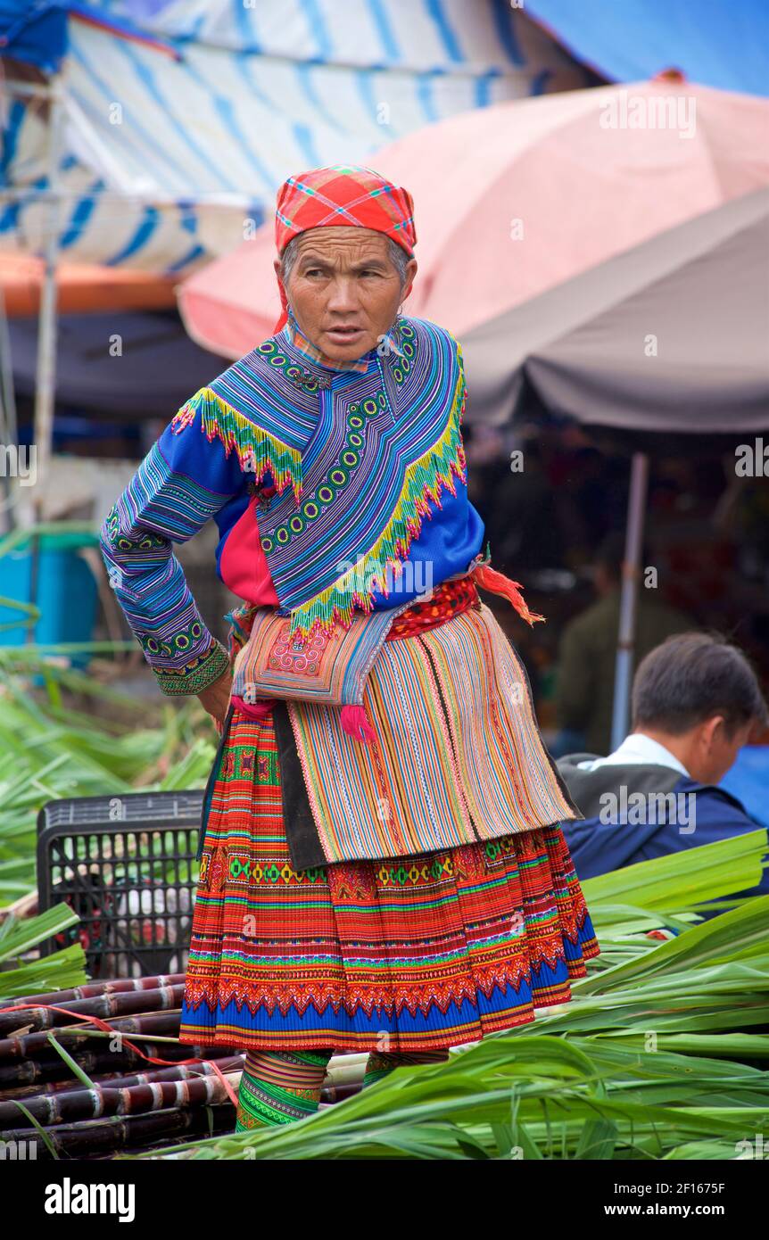 Blume Hmong Frau in lokalen Stil Kleidung auf Bac Ha Markt. Lao Cai Provinz, Nordost Vietnam Stockfoto