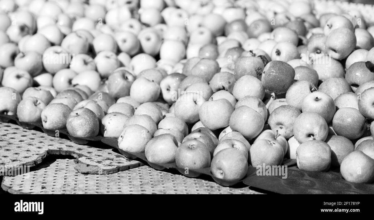 In den Markt roten und gelben Äpfeln das natürliche Licht Stockfoto