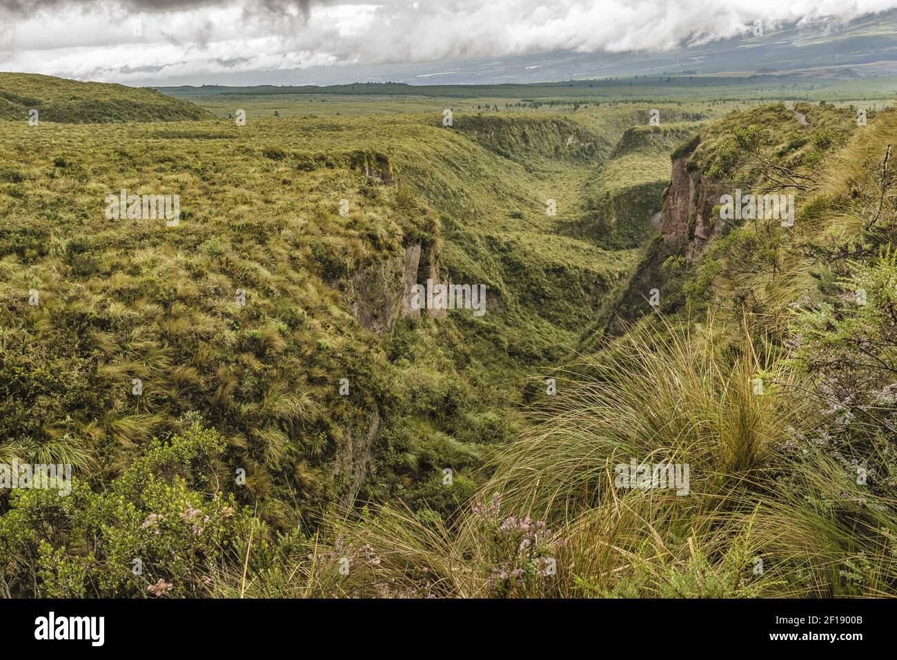 Cotopaxi Nationalpark Landschaft Szene Stockfoto