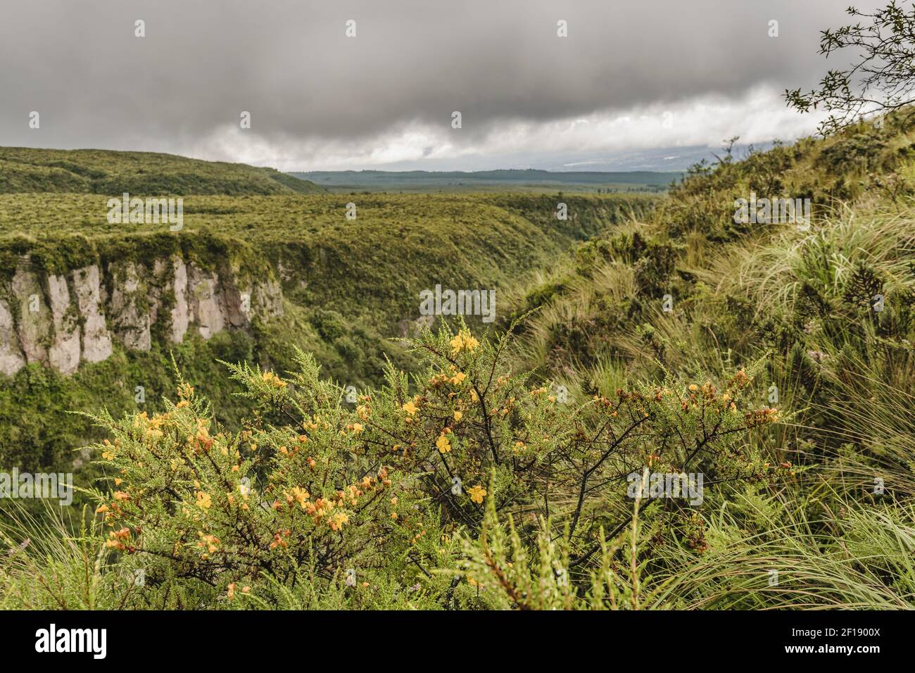 Cotopaxi Nationalpark Landschaft Szene Stockfoto