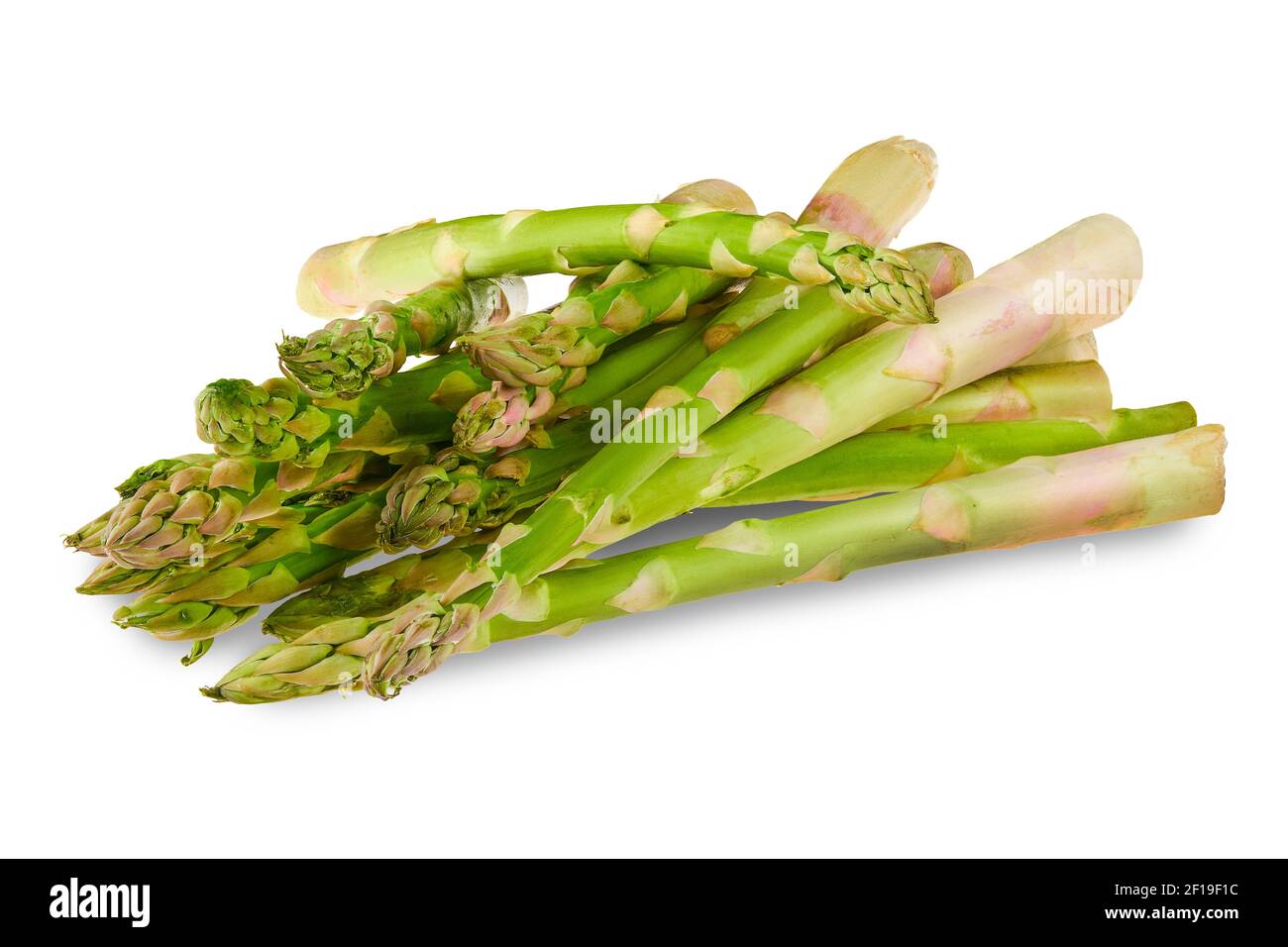 Frischer Spargel isoliert auf weißem Hintergrund Stockfoto