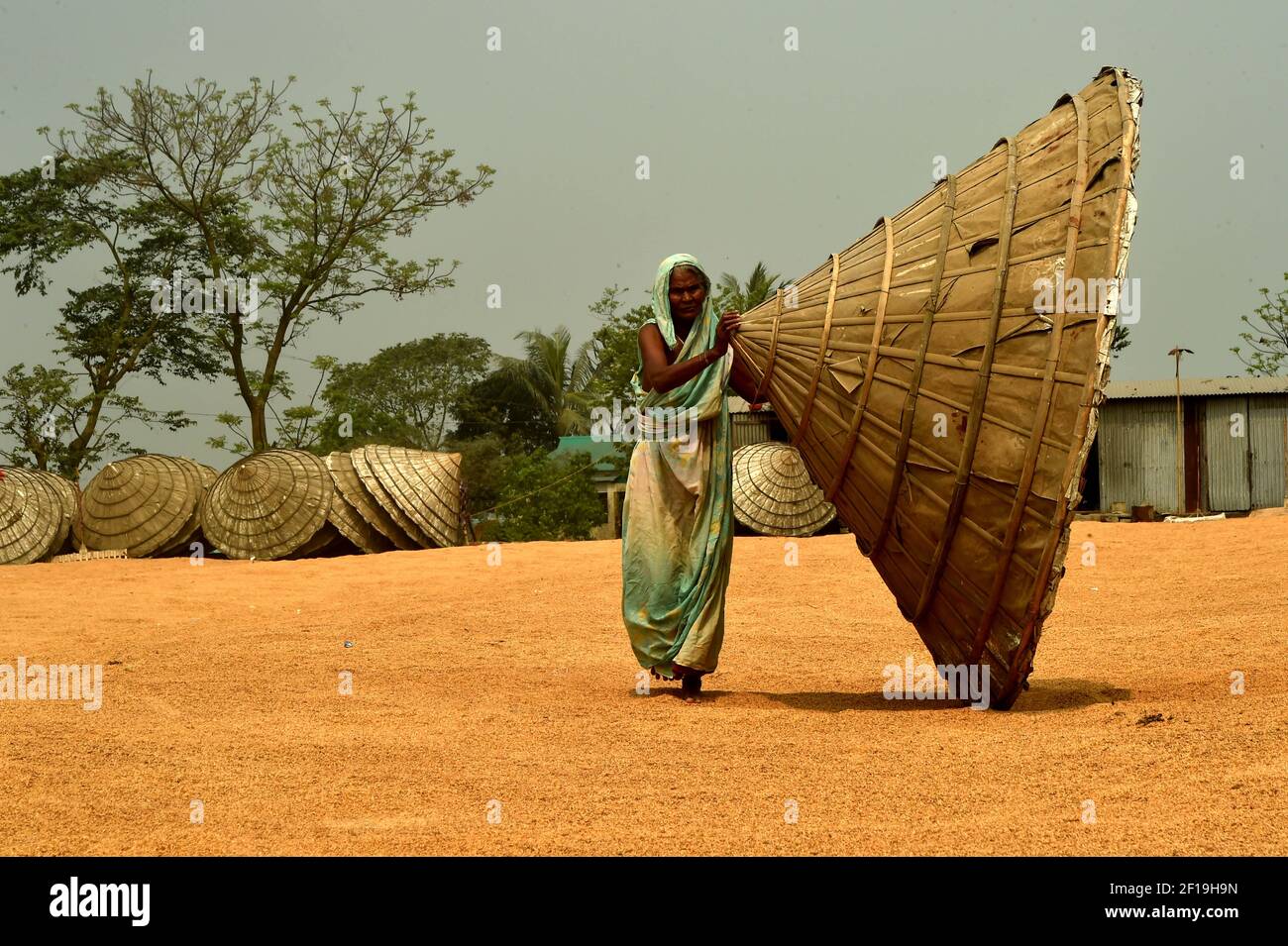 Brahmanbaria. März 2021, 7th. Ein Arbeiter bewegt am 7. März 2021 in einem Hof einer Reismühle in Brahmanbaria, 109 Kilometer nordöstlich der Hauptstadt Dhaka, Bangladesch, einen riesigen Kegel auf Reispflanzen, die zum Trocknen verteilt sind. Quelle: Xinhua/Alamy Live News Stockfoto