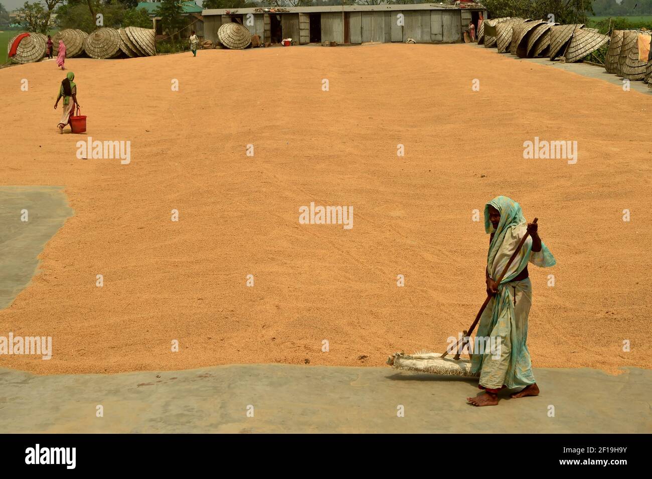 Brahmanbaria. März 2021, 7th. Ein Arbeiter trocknet am 7. März 2021 in einem Hof einer Reismühle in Brahmanbaria, 109 Kilometer nordöstlich der Hauptstadt Dhaka, Bangladesch, Reisernte. Quelle: Xinhua/Alamy Live News Stockfoto