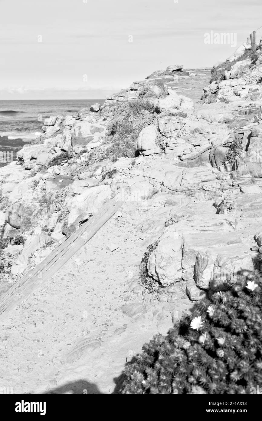 In Südafrika Küste und Naturpark Reserve Stockfoto