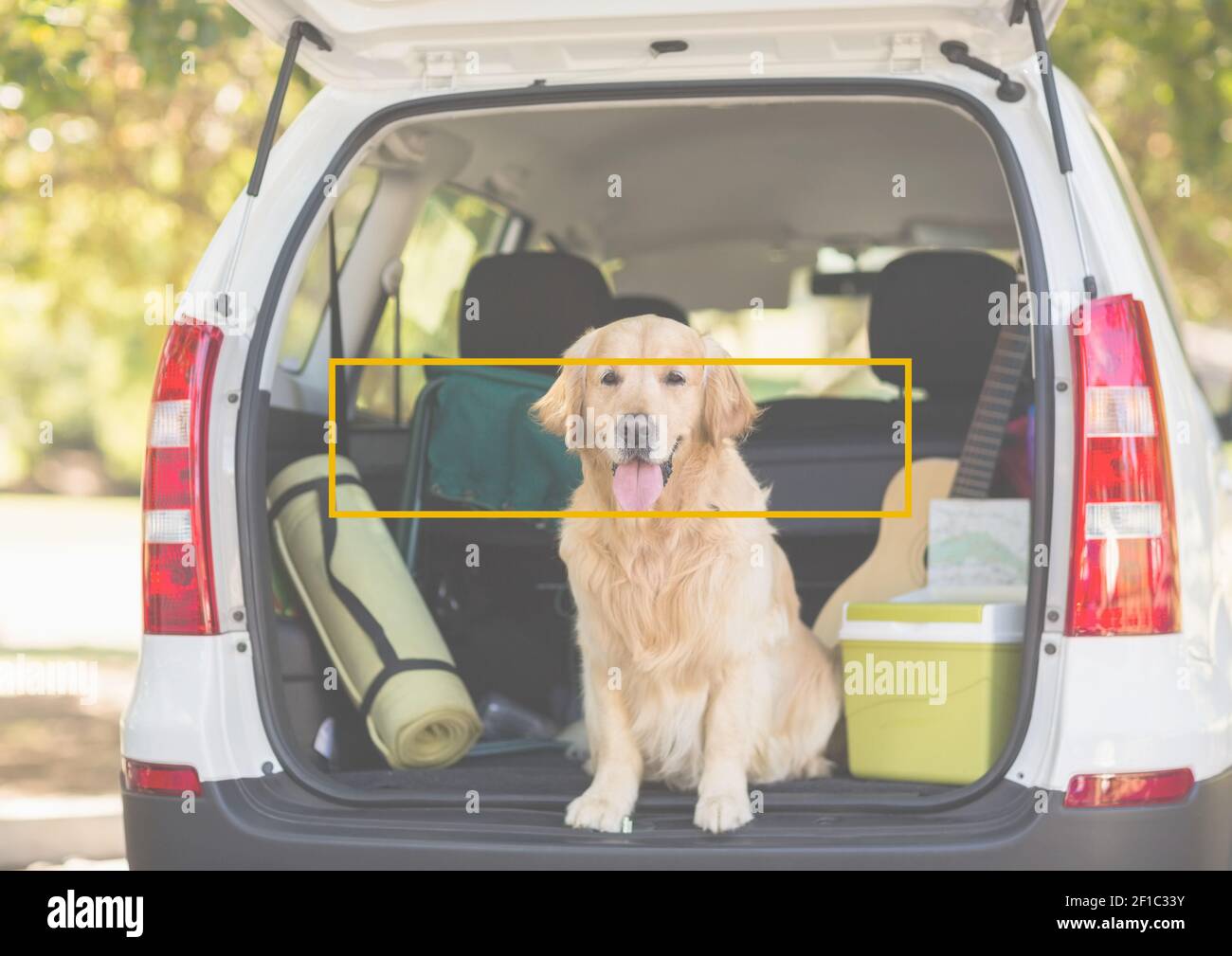 Zusammensetzung des Hundes sitzt im offenen Kofferraum des Autos mit Gelber Rahmen mit rechteckigem Umriss über der Fläche Stockfoto
