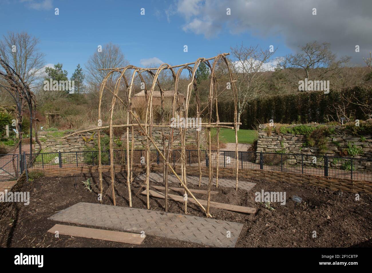 Arch oder Wigwam wird aus Hazel Sticks gebaut, um Kletterpflanzen und Gemüse in einem Potager Garden in Rural Devon, England, UK zu unterstützen Stockfoto