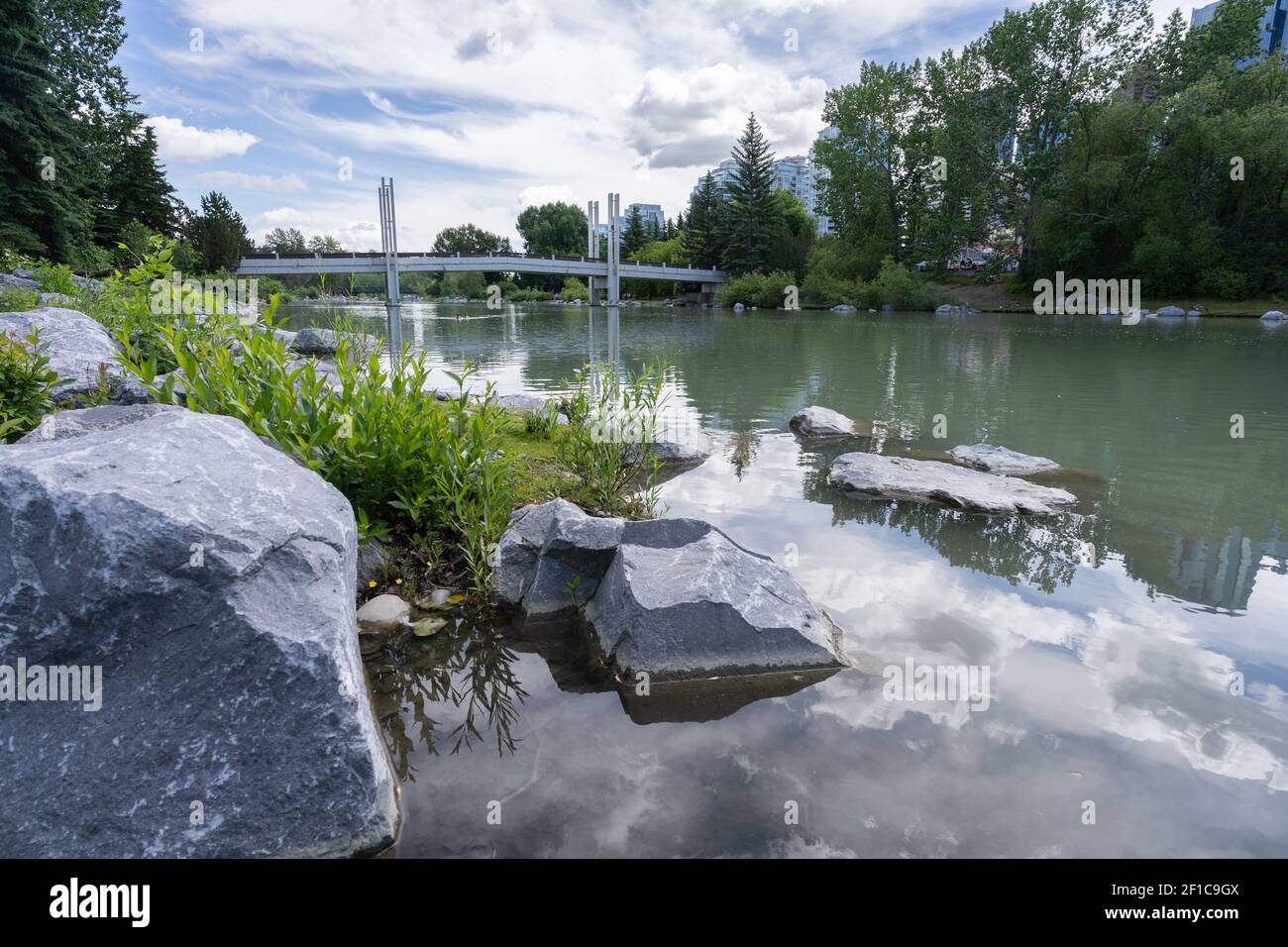 Stadtparklandschaft mit Fluss und Brücke, aufgenommen im Prince´'s Island Park, Calgary, Alberta, Kanada Stockfoto