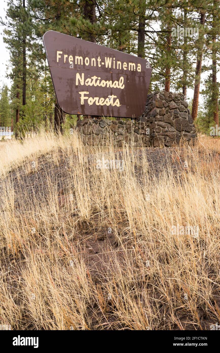 Fremont-Winema National Forests Oregon State Vereinigte Staaten Stockfoto