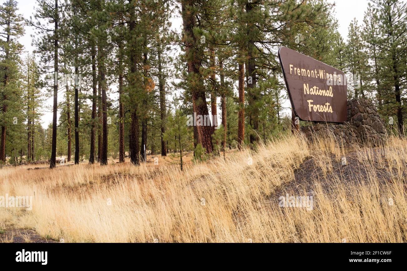Fremont-Winema National Forests Oregon State Vereinigte Staaten Stockfoto