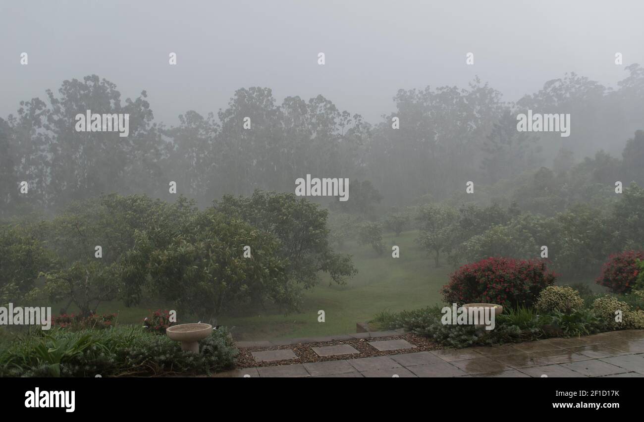Sehr starke Regenfälle über einem privaten Garten in Australien. Blick verdeckt durch Nebel und strömenden Regen. Sommer. Stockfoto